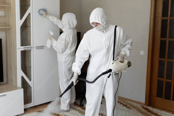 Best HVAC Mold Remediation in Pine Air, FL